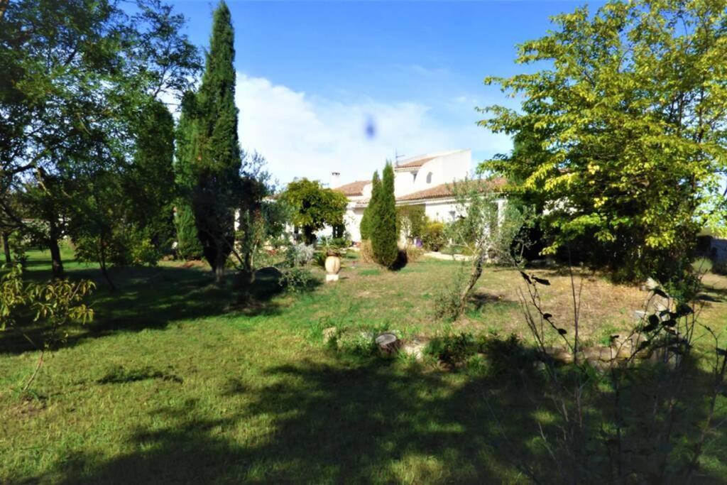 Ibis - Villa Avec Piscine, Jardin Et Parking Arlés Exterior foto